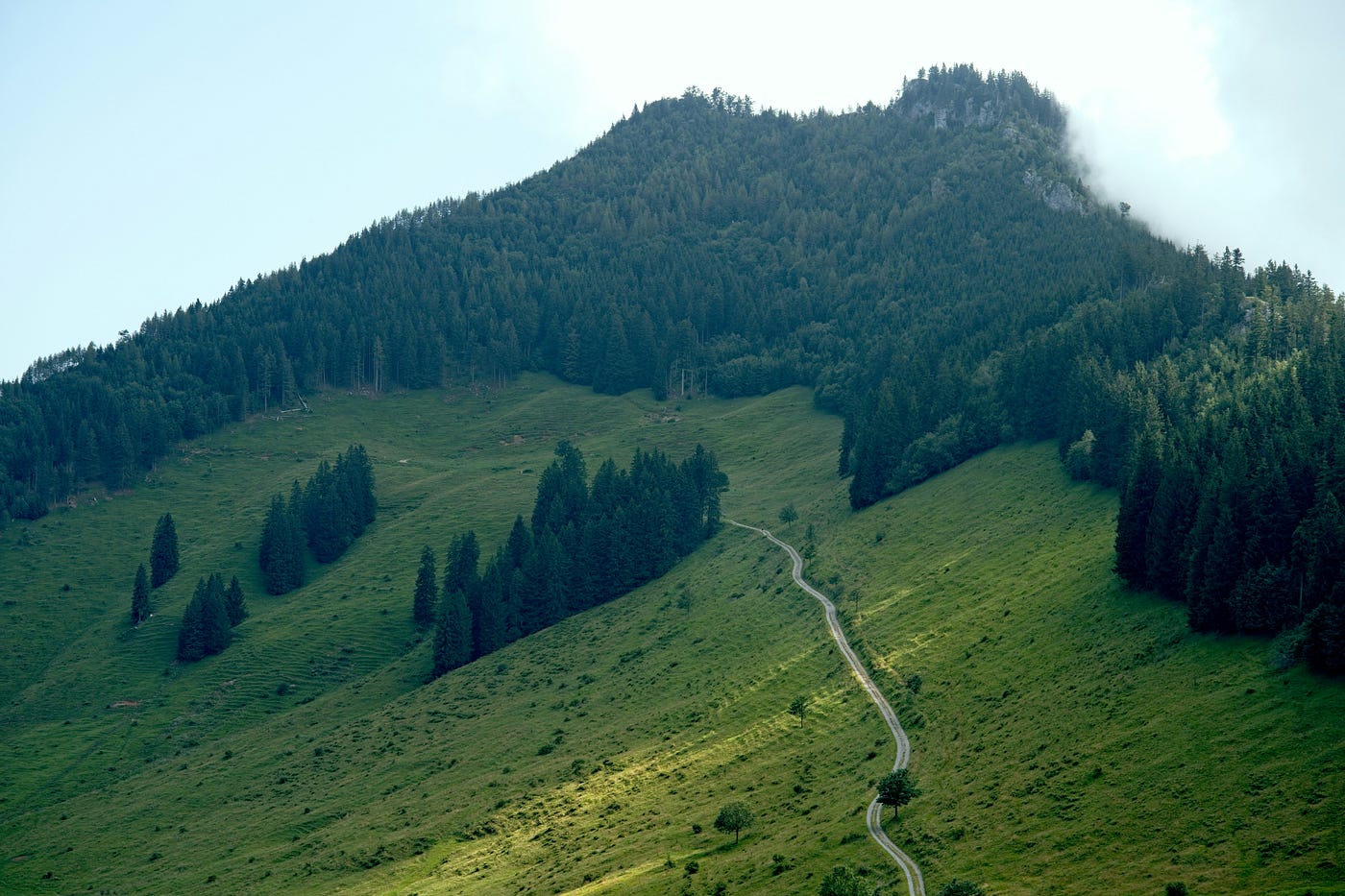 A single narrow road winding up a steep green alpine hillside toward a forested ridge disappearing into cloud.