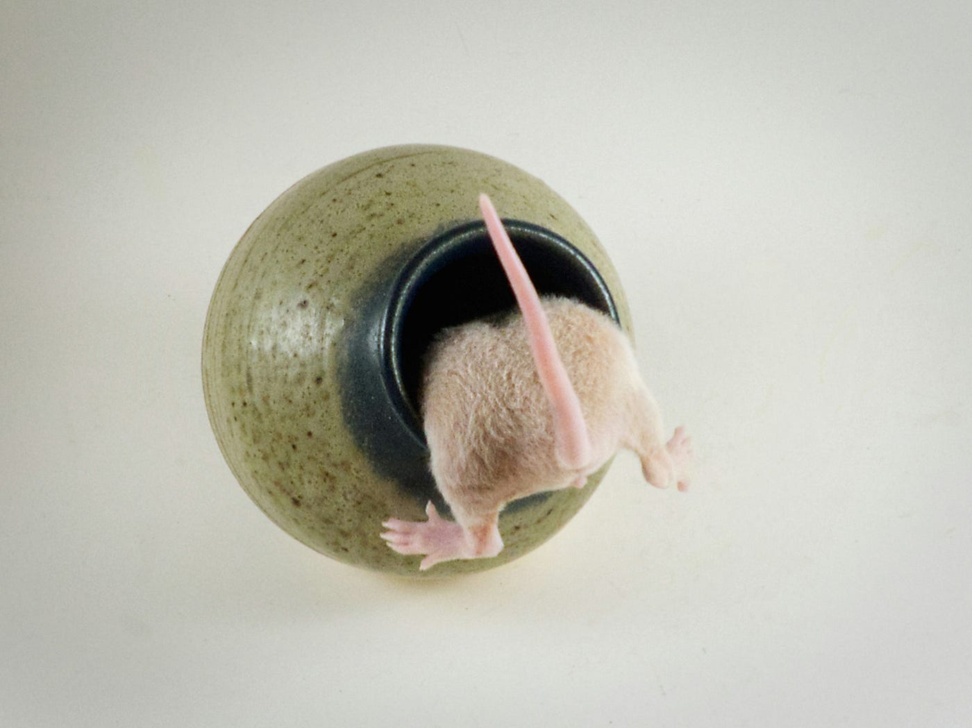 A mouse disappearing tail-first into the neck of a small ceramic pot on a plain pale background.